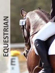 Equestrian